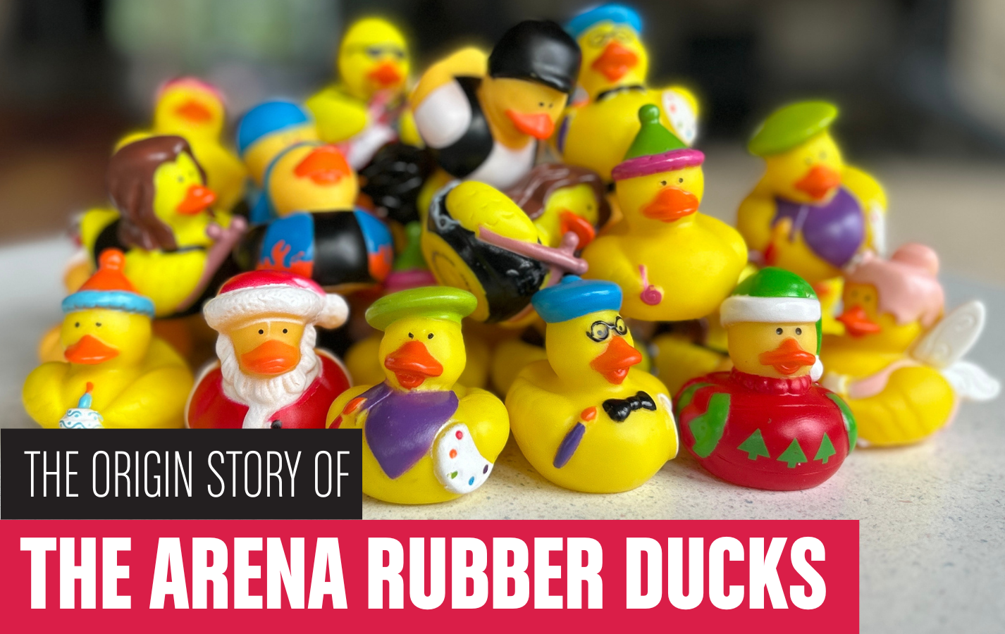Rubber Ducks Origin Story